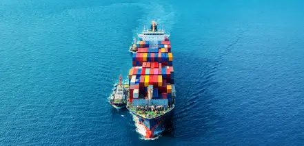 Atrax Sea Freight